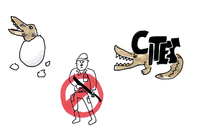 競争率の高い希少な革