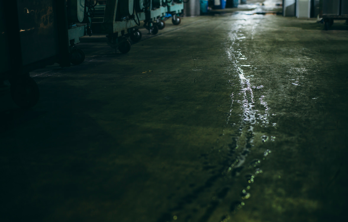 気品のあるキャンバス