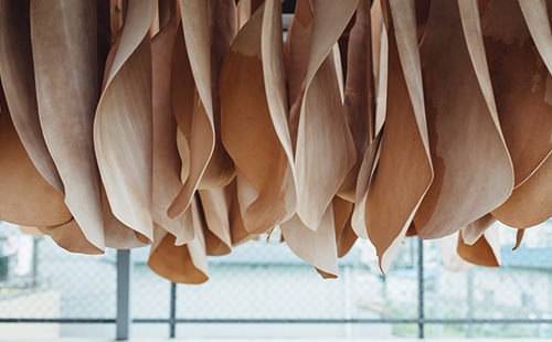 CORDOVAN  ― 仕上げと染色