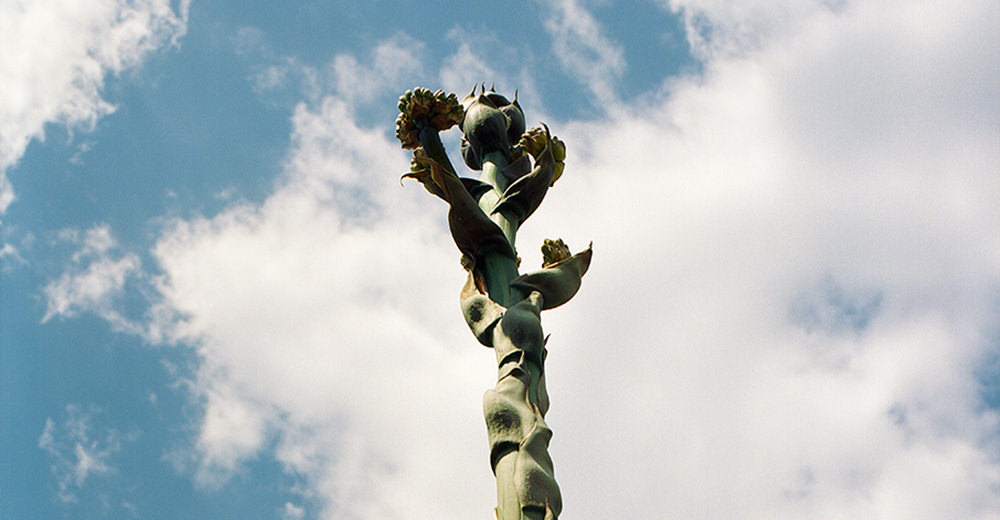 AJIOKA. × SEIJUN NISHIHATA - 100年に一度咲く花