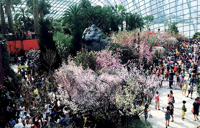 Gardens by the Bay “Blossom Beats”